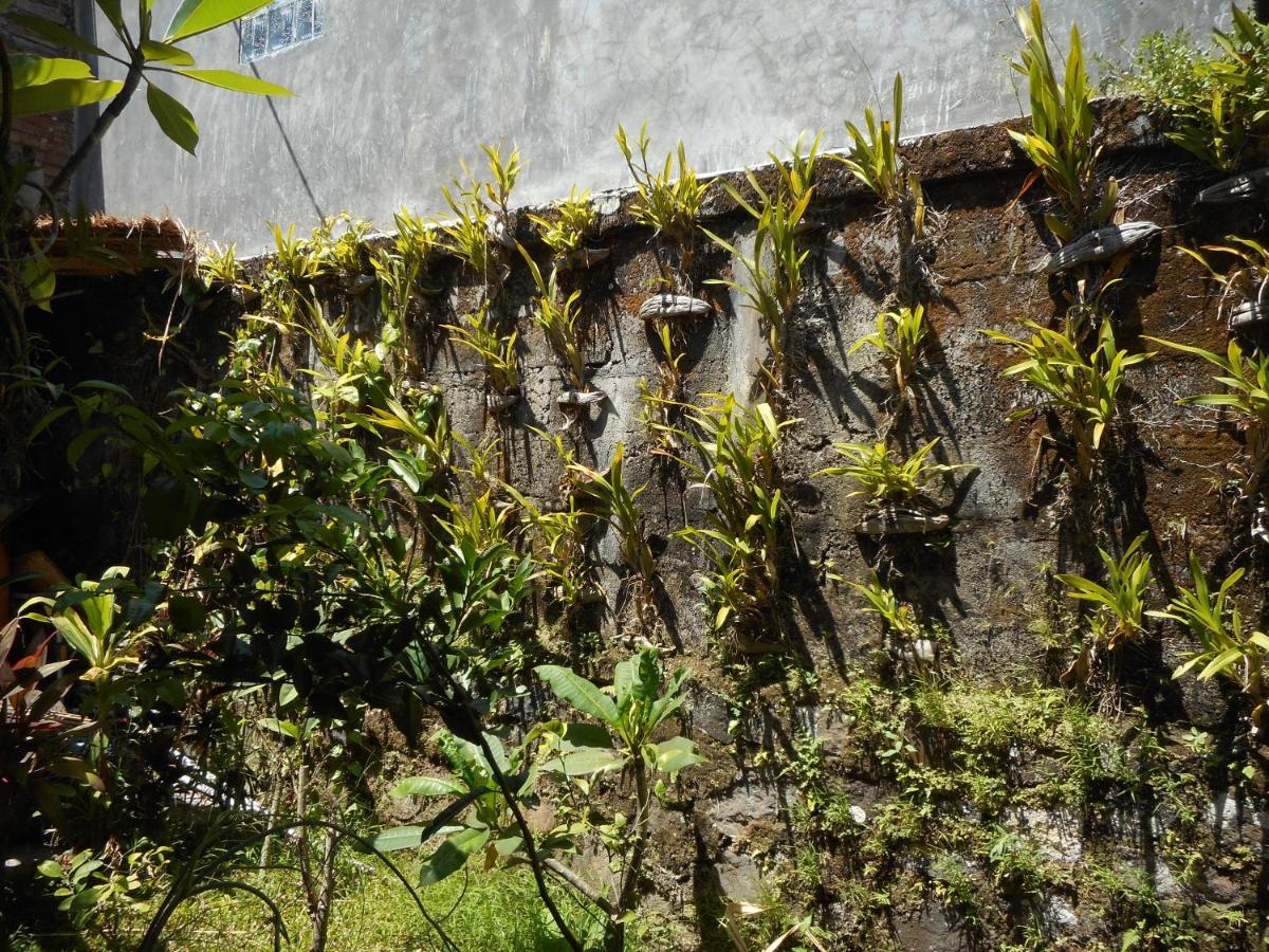 Homestay Milla *