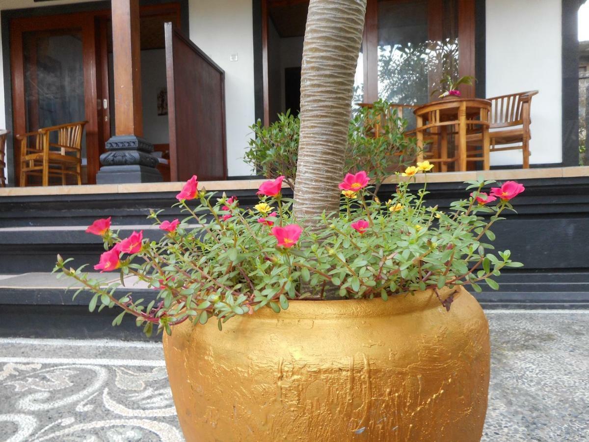 Homestay Milla Sidemen (Bali)