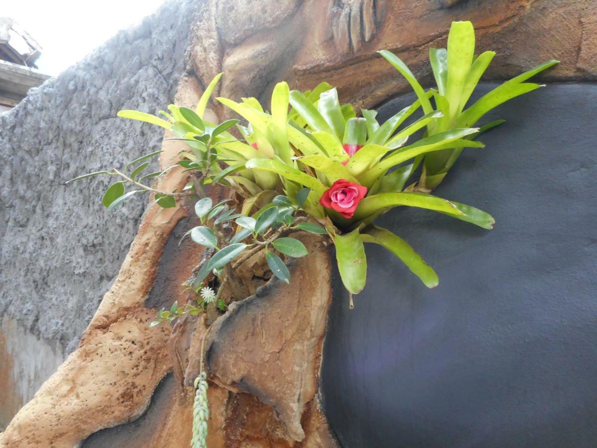 Homestay Milla Sidemen (Bali)