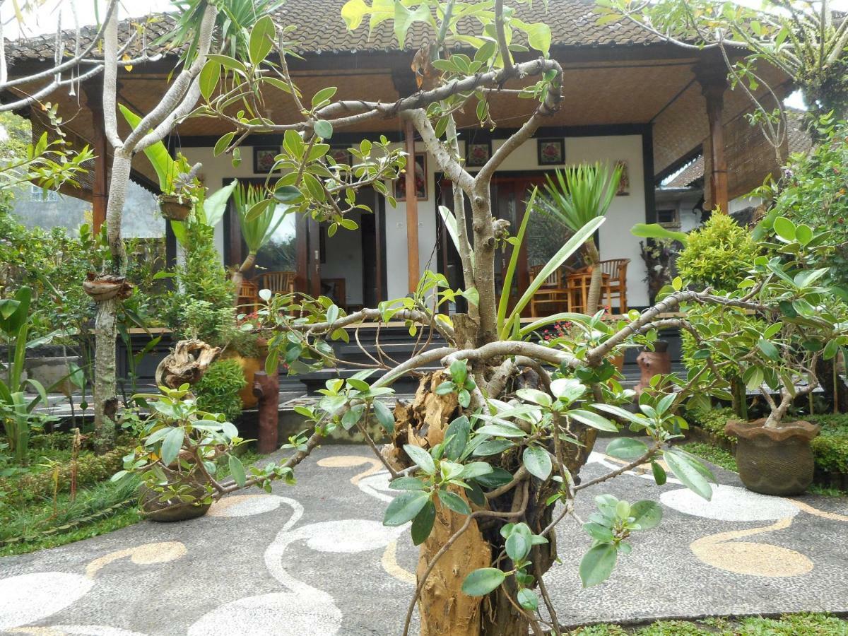 Homestay Milla Sidemen (Bali)