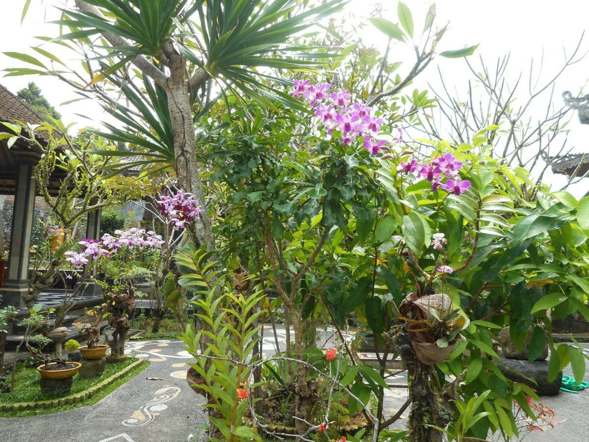 Milla Homestay