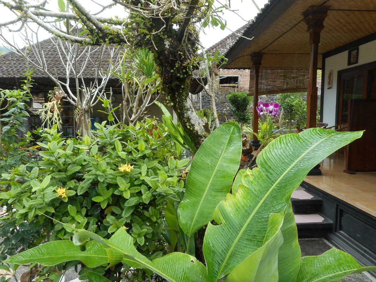 Milla Homestay Sidemen (Bali)
