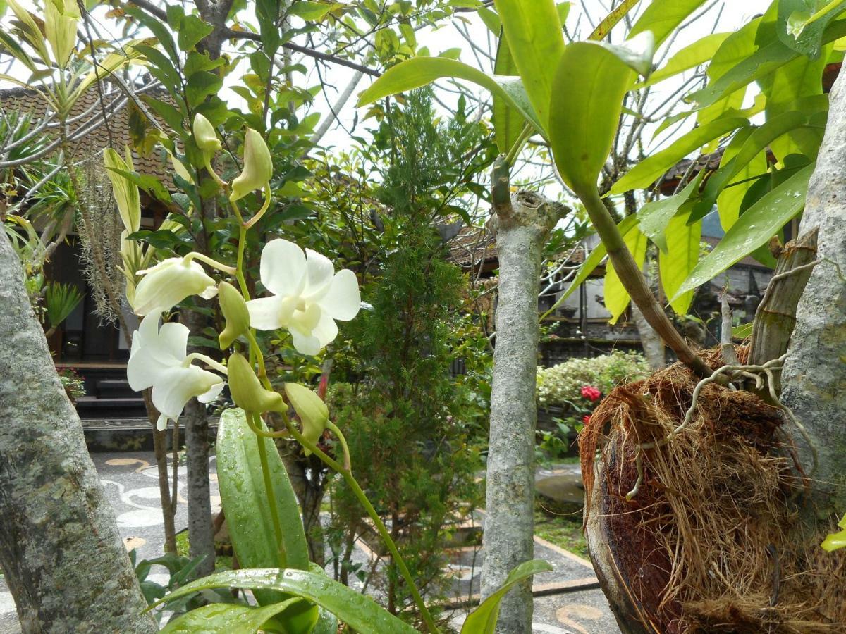 Homestay Milla Sidemen (Bali)