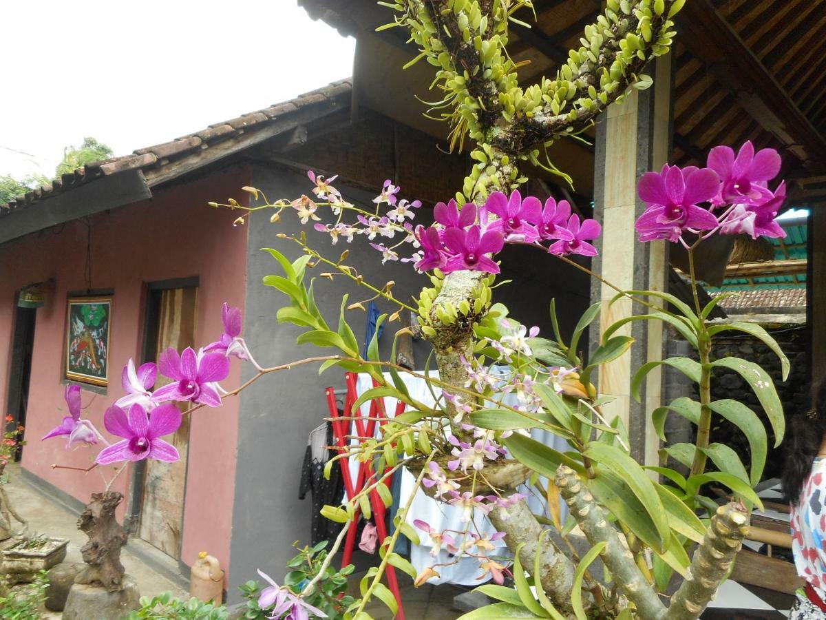 Homestay Milla *